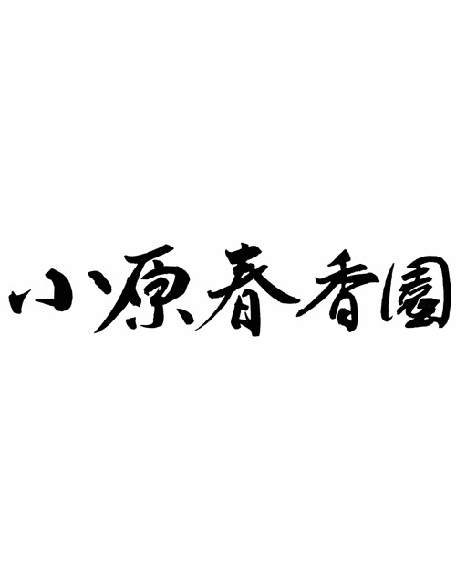 気軽に愉しむ茶歌舞伎の世界
